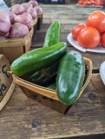 Jalapeno1
