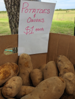 Potatoes_1