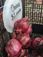 RedOnions1