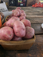 RedPotato1
